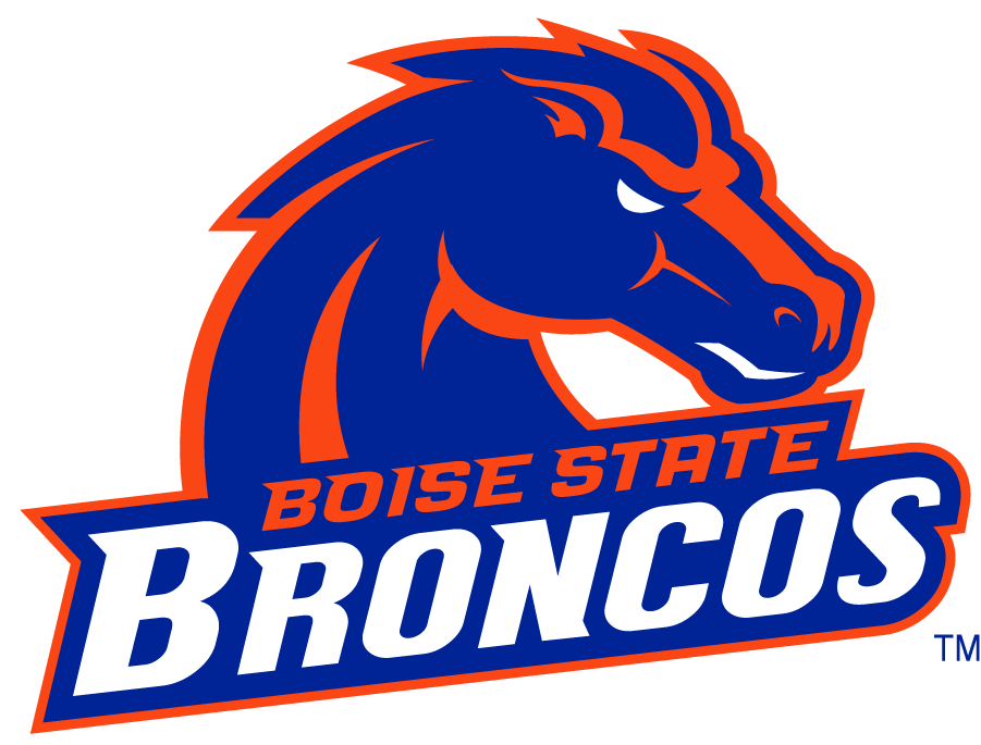 Boise State Broncos 2002-2012 Secondary Logo v13 iron on transfers for T-shirts